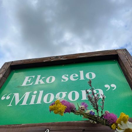 Etno Selo - Guest House Etno Village - Trsa 플루지네 외부 사진