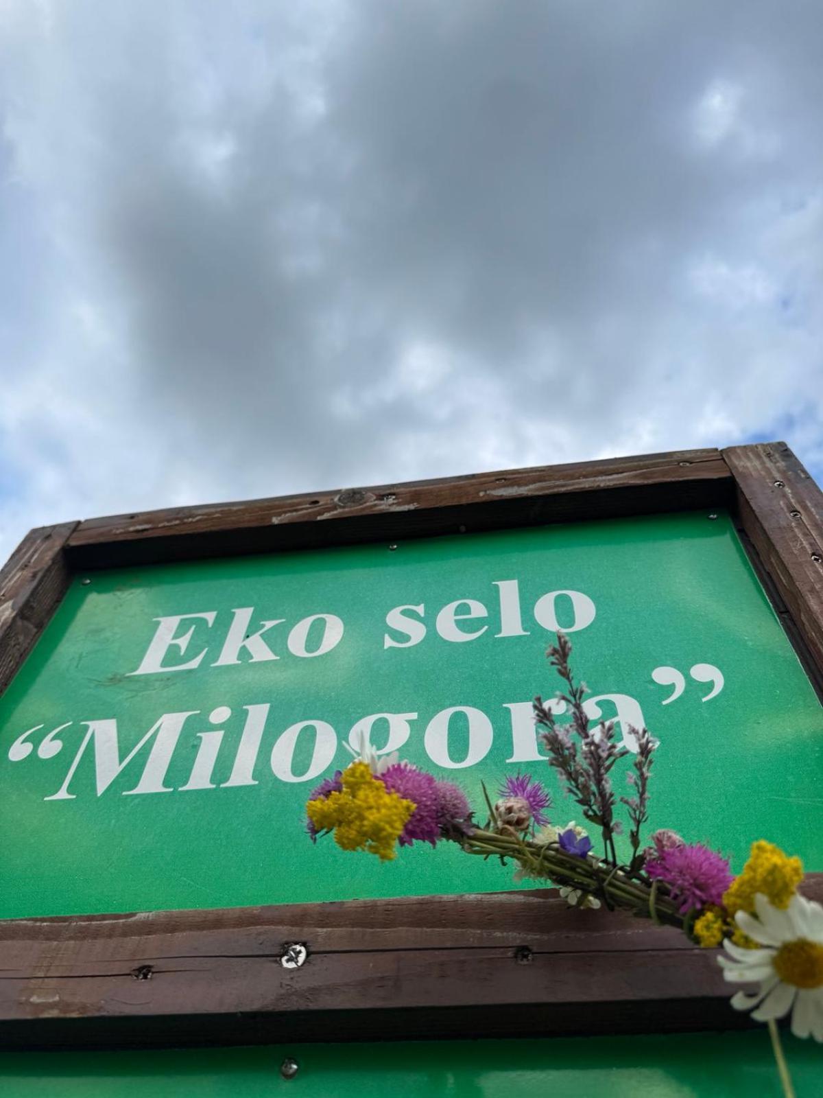 Etno Selo - Guest House Etno Village - Trsa 플루지네 외부 사진